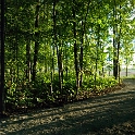 Cobblestone Park   Montville Duchek 9134